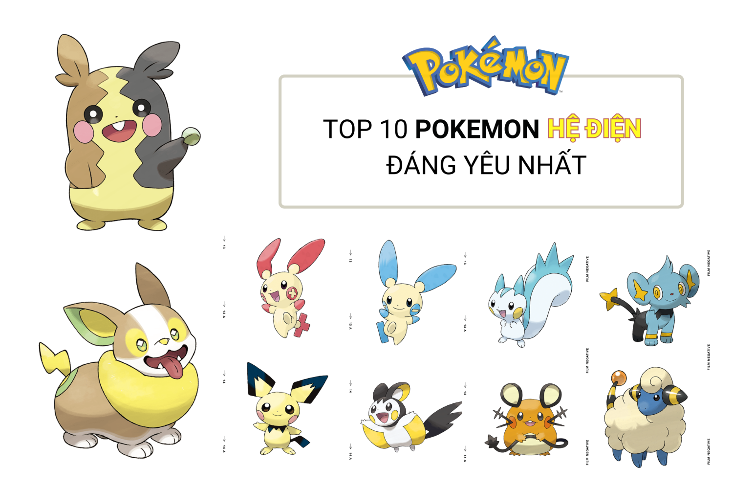 TOP 10 POKEMON HỆ ĐIỆN ĐÁNG YÊU NHẤT